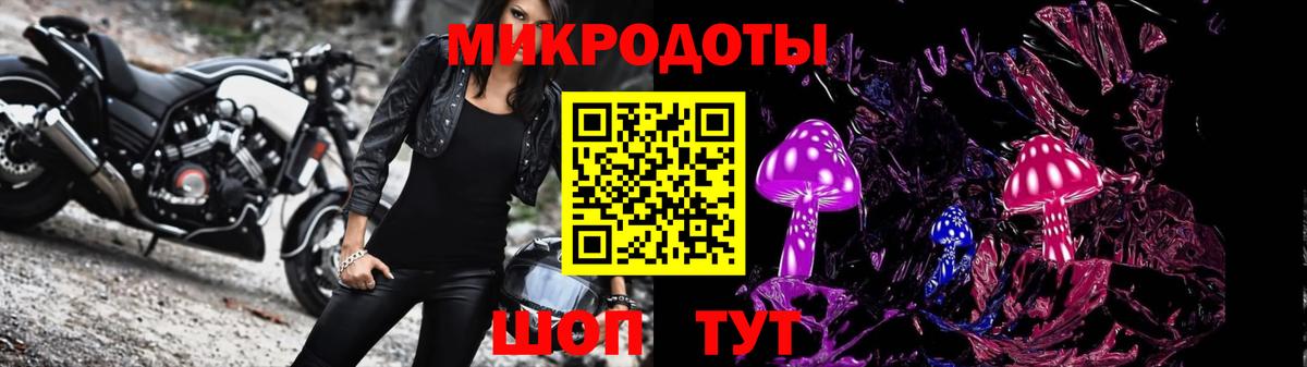 Чебаркуль  Галлюциногенные грибы Psilocybine cubensis  Вход с VPN 