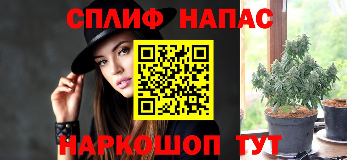 МАРИХУАНА Amnesia  Марихуана планчик  Конопля сатива  Чебаркуль  Бошки Шишки сатива  Вход с VPN 